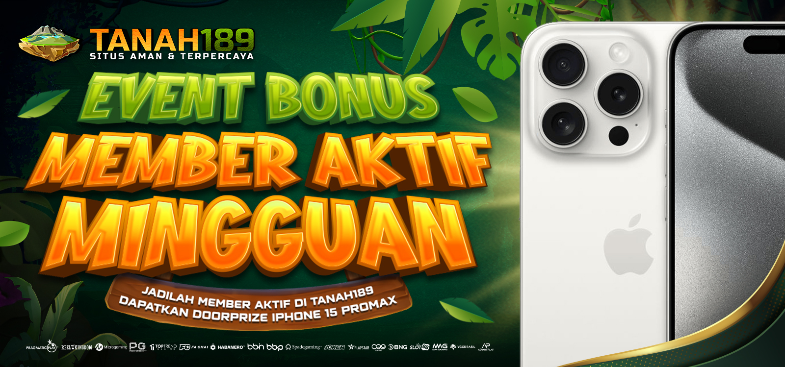 BONUS MEMBER AKTIF MINGGUAN